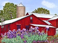 Iris Garden Fine Art Print