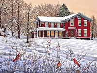 King's Cardinals, Eden Ny Fine Art Print