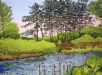 Lily Pond II, Cheektowaga Ny Fine Art Print