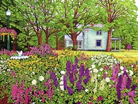 North Boston Road Flower Garden, Eden Ny Fine Art Print