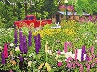 North Boston Road Old Red Truck, Eden Ny Fine Art Print