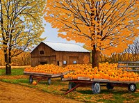 Pumpkinville, Western Ny Fine Art Print