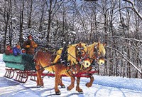 Sleigh Ride At Chestnut Ridge, Orchard Park, Ny Fine Art Print