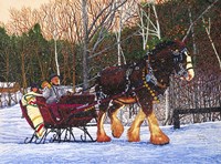 Sleigh Ride At Letchworth Park, Ny Fine Art Print