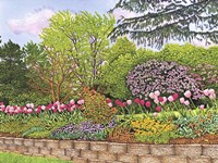 Tulips Dancing In The Breeze Fine Art Print