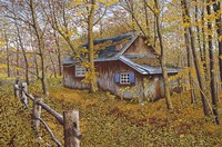 Cabin In The Woods Fine Art Print