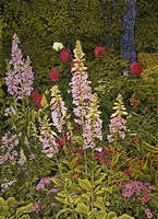 Foxglove & Peonies Fine Art Print