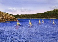 Hobie Cats Fine Art Print