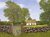 Irish Cottage Fine Art Print