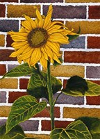 One Sunflower Fine Art Print
