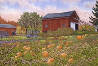 Pumpkin Patch Fine Art Print