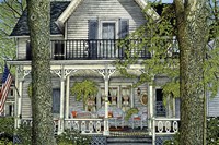 Wicker And Ferns Fine Art Print