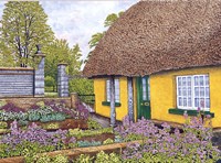 Yellow Cottage Fine Art Print