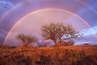Arizona Rainbow Fine Art Print