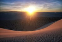 Curved Dune Spot Removed Fine Art Print