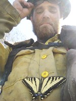 Swallow tail Fine Art Print