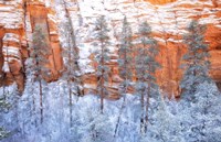 Ponderosa Sandstone Fine Art Print