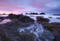 Seal Rock Colors Fine Art Print