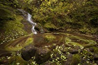 Three Blurs Fine Art Print