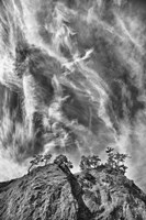 Tree Island Clouds Pushed Fine Art Print