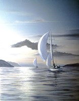 White Sails Fine Art Print