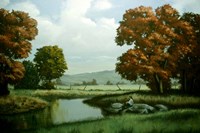 Autumn Trees 1 Fine Art Print