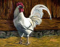 Bantam Rooster Fine Art Print
