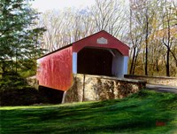 Pine Valley Fine Art Print