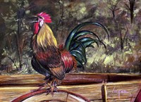 Wakeup Fine Art Print