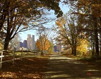 Skyline 2 Fine Art Print