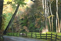 Cuttalossa Fine Art Print