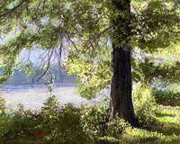 View Del Fine Art Print