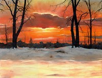 Winter Shadows Fine Art Print