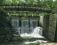 Overflow Gate Fine Art Print