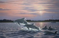 Dolphins Fine Art Print