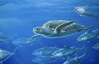 Sea Turtle Fine Art Print