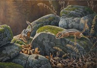 Eye On The Prize Fine Art Print