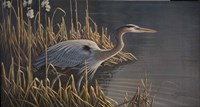 Stalking The Edge - Heron Fine Art Print