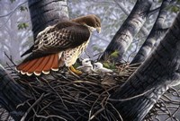 In The Nest Fine Art Print