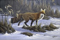 On Stand By Fine Art Print