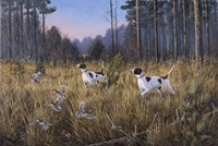 Flushed Fine Art Print