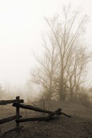 Early Morning I Fine Art Print