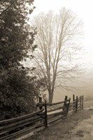 Early Morning II Fine Art Print