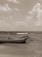 Solitude II Framed Print