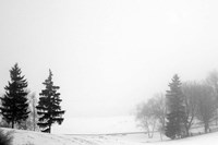 Contrast Fine Art Print