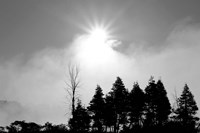 Sunfire Fine Art Print