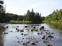 Chippewa Summer I Fine Art Print