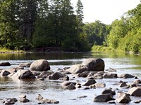 Chippewa Summer II Fine Art Print