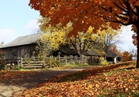 Yesteryear Fine Art Print