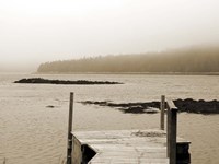 Still Morning II Fine Art Print